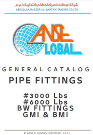 ANSE CO. PIPE FITTINGS CATALOG 2023